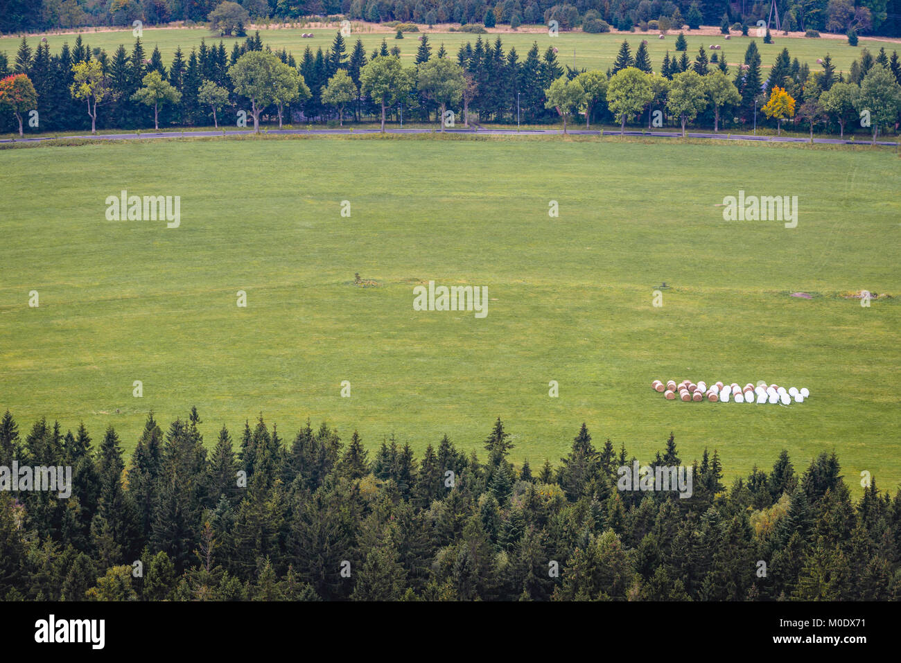 Le balle di paglia su un campo verde visto da Szczeliniec Wielki, la vetta più alta delle montagne Stolowe (tabella montagne) gamma, parte dell'Sudetes, Polonia Foto Stock