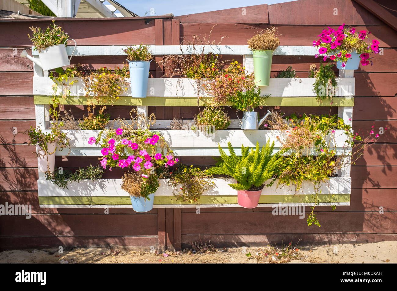 Vasi da fiori appesi da un pallet sulla parete di un resort sulla spiaggia,  Huelva, Spagna Foto stock - Alamy