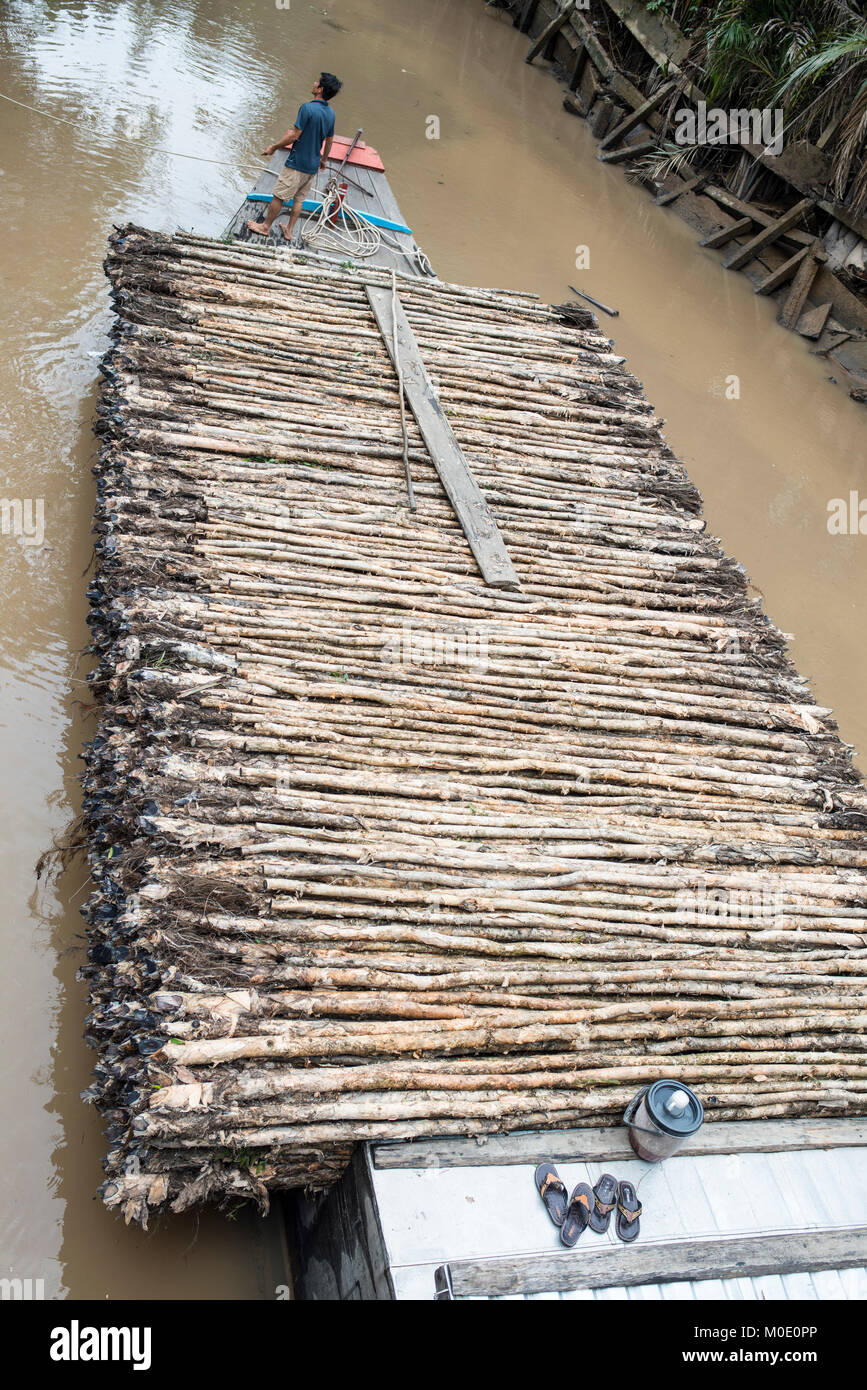 Canal chiatte che trasportano il legname, Vietnam Foto Stock