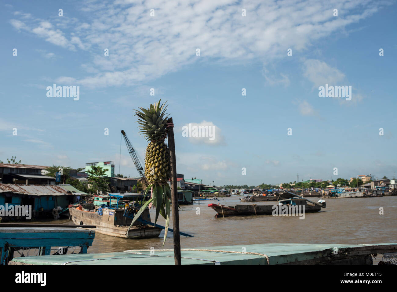 Segno di ananas, delta del Mekong, Vietnam Foto Stock