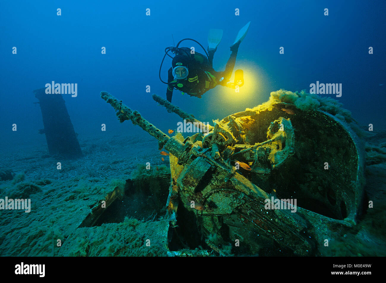 Scuba Diver a anti-aerei pistola di North American B-25 bombardiere Mitchell, si è schiantato nella seconda guerra mondiale, Aleria, Corse, Francia, mare Mediterraneo, Europa Foto Stock