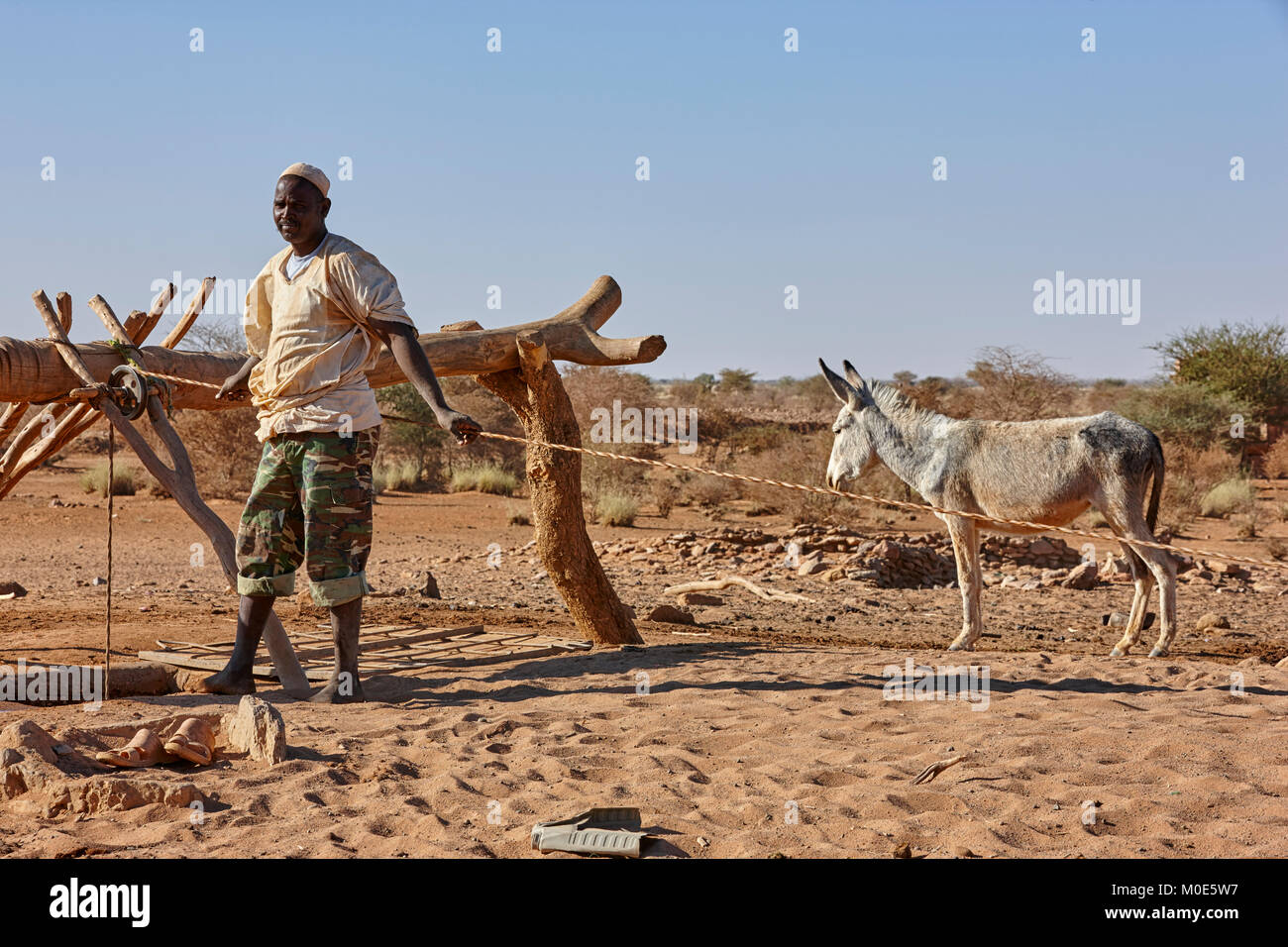 L'uomo il recupero di acqua da un pozzo con un asino vicino Naqa, Sudan (Nord Sudan), Africa Foto Stock