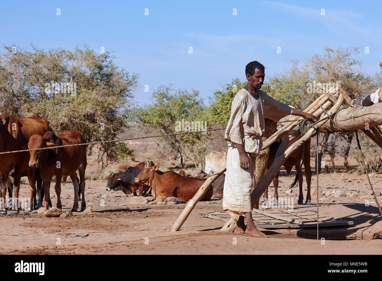 L'uomo il recupero di acqua da un pozzo vicino a Naqa, Sudan (Nord Sudan), Africa Foto Stock