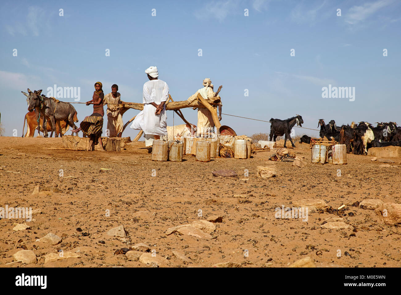 Persone il recupero di acqua da un pozzo con un asino vicino Naqa, Sudan (Nord Sudan), Africa Foto Stock