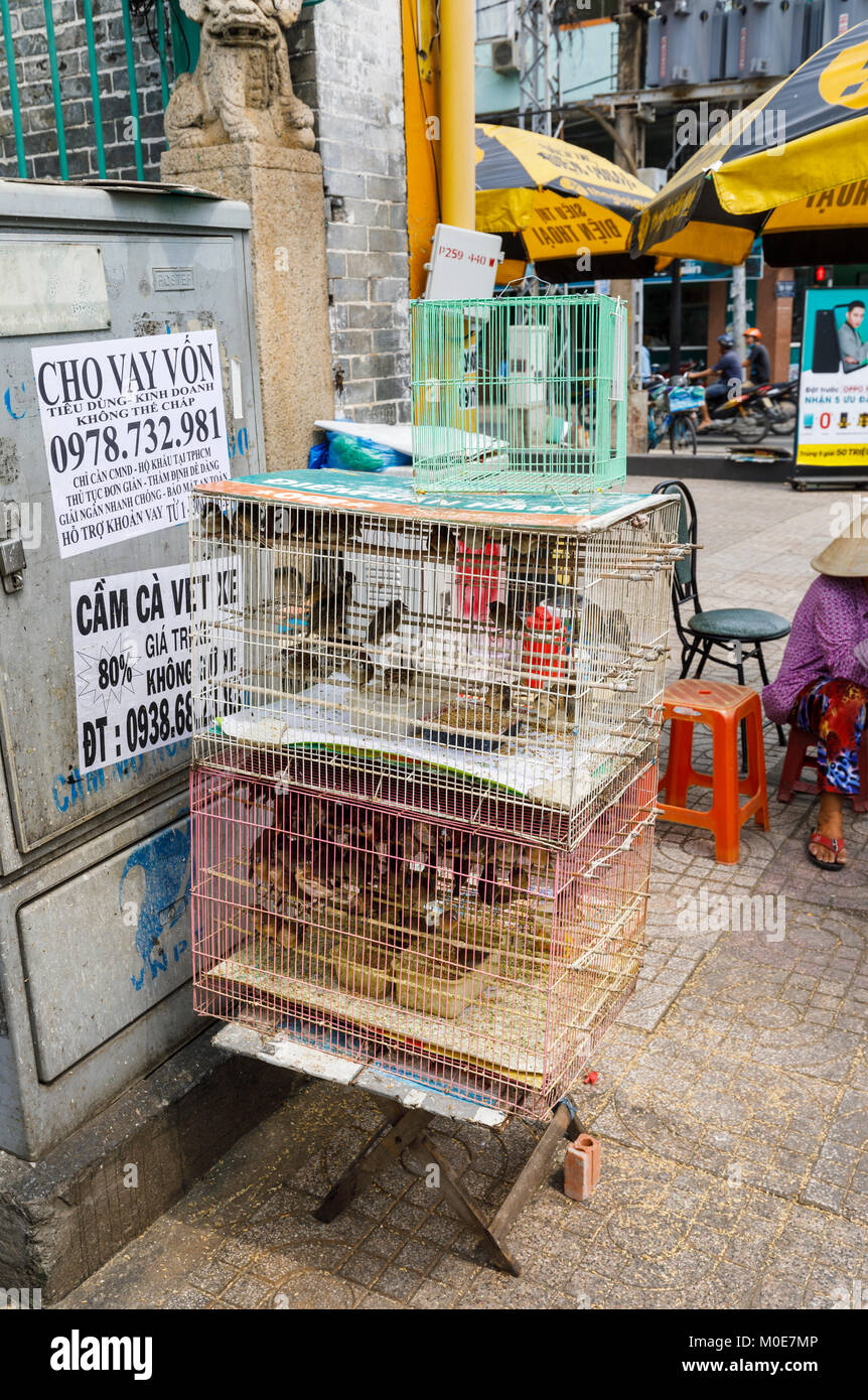 Uccelli da gabbia per la vendita al di fuori del Tempio Thien Hau, un tempio cinese di mare dea Mazu, centro di Saigon (Ho Chi Minh City), Vietnam del sud, sud-est asiatico Foto Stock