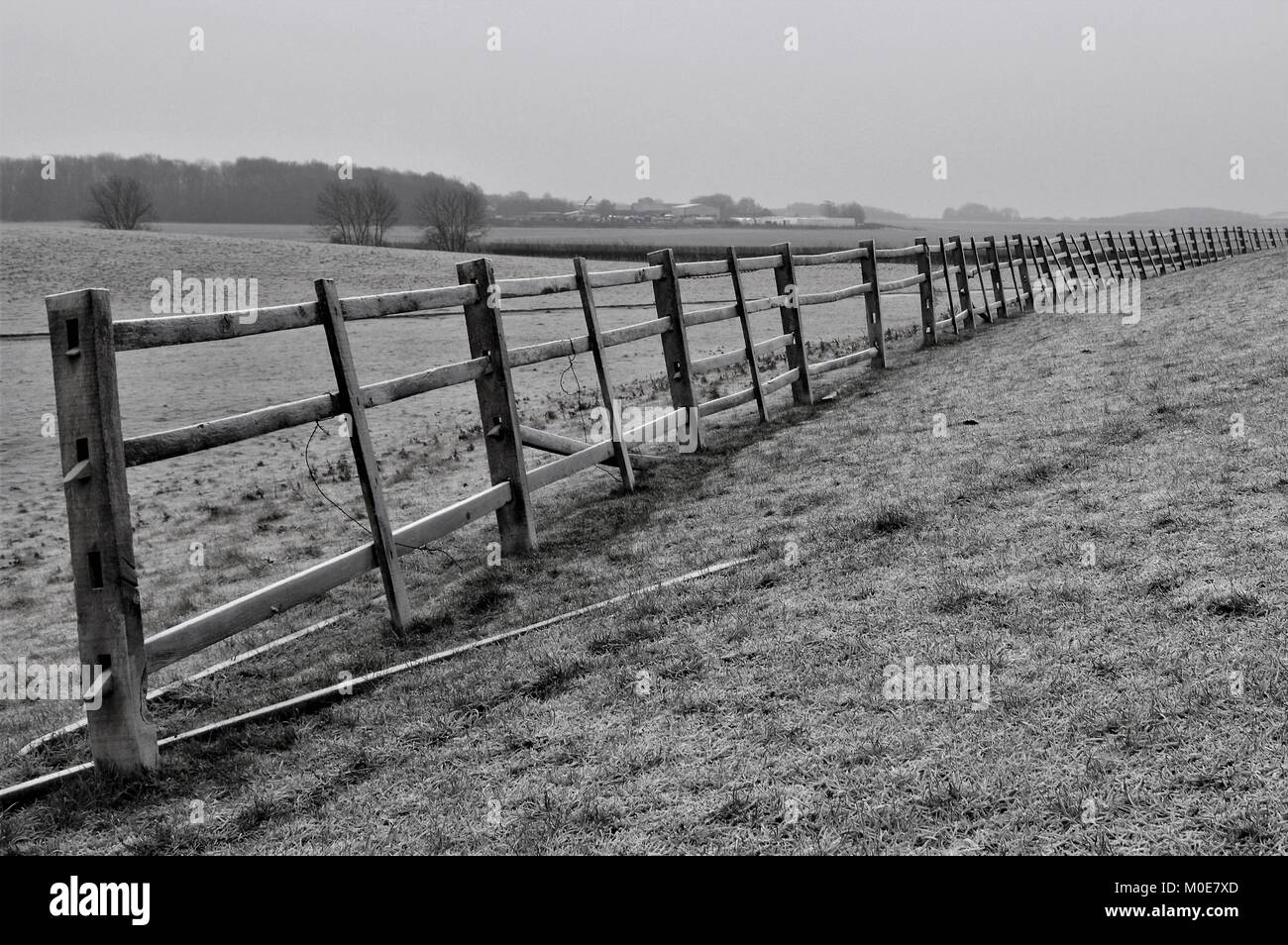 La scherma su un gelido mattino Foto Stock