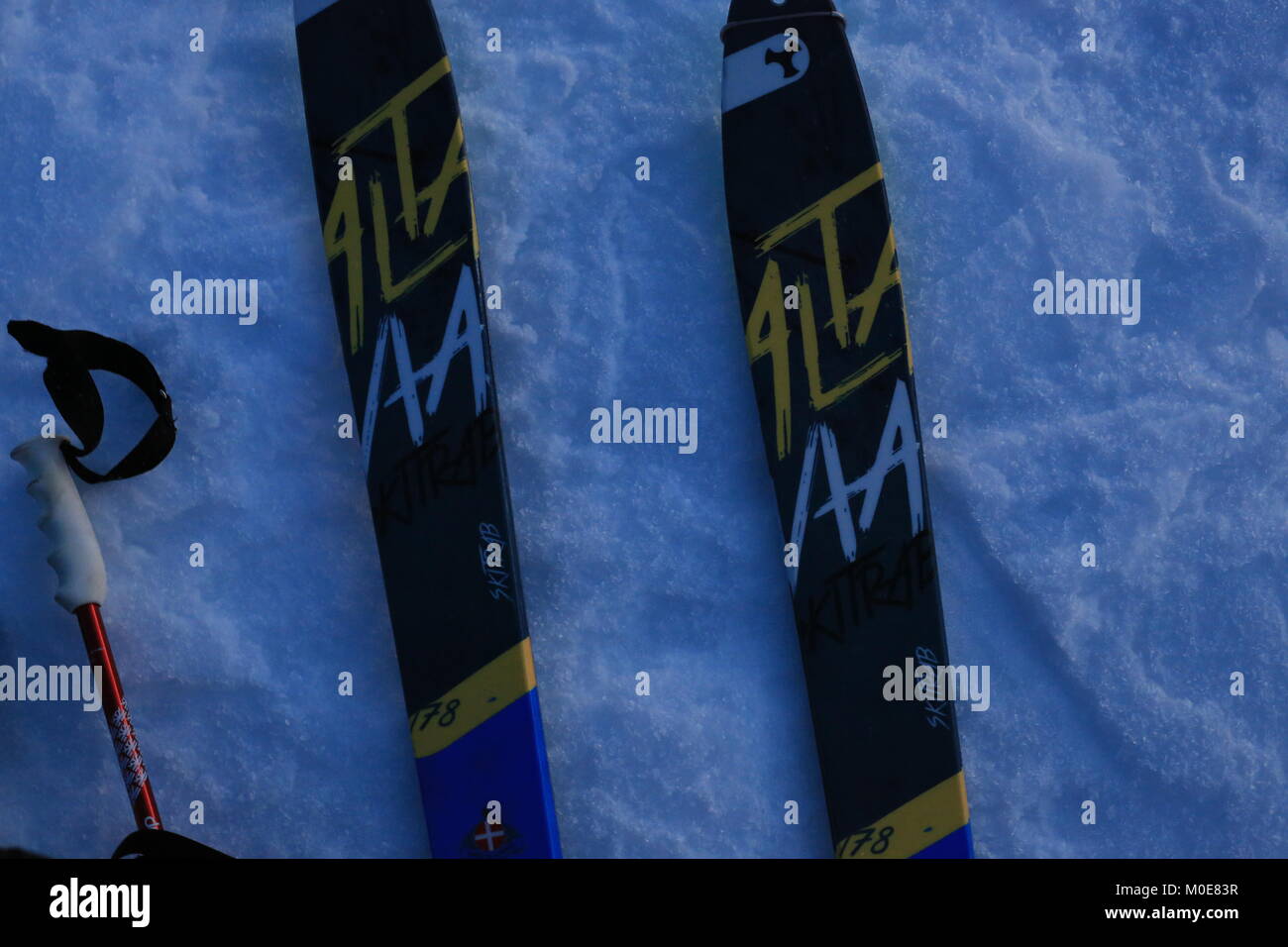 Sci e pali in Snoe Foto Stock