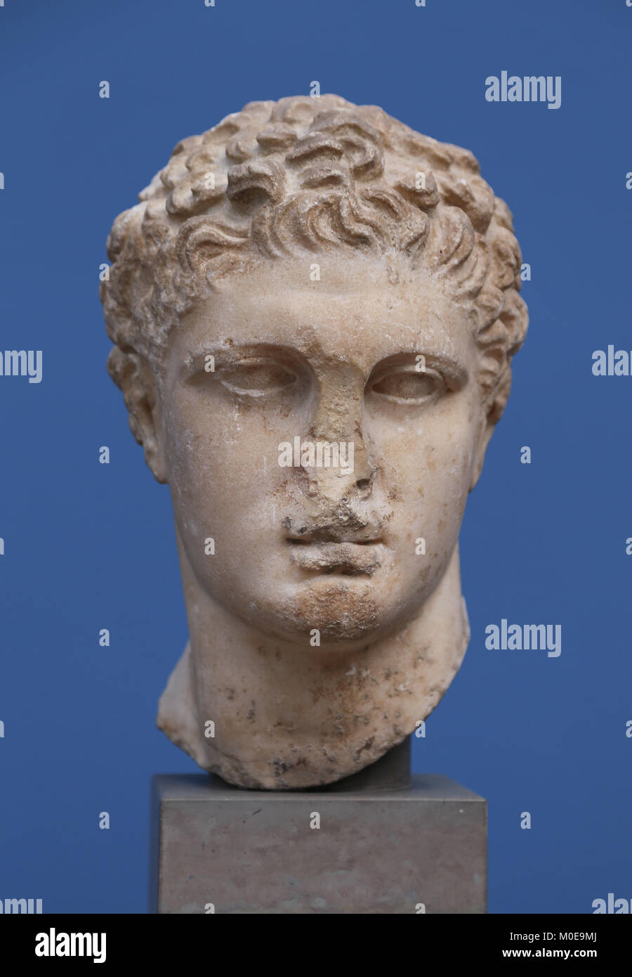 Testa di Eracle come un atleta. Hero dio. Il marmo 1st. secolo D.C. Split, Croazia. Ispirato in simili Skopas opere. Foto Stock