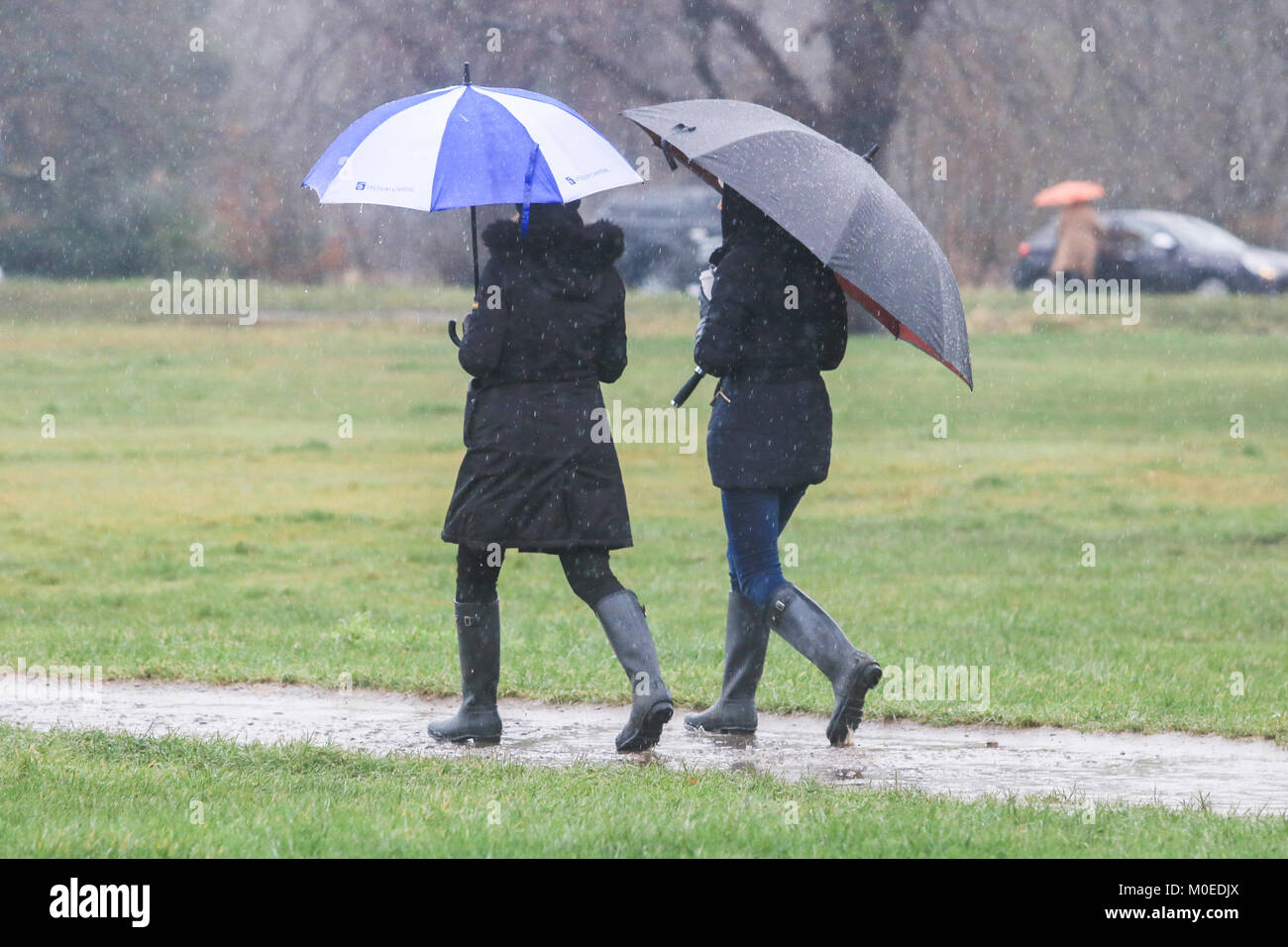 Londra REGNO UNITO. Il 21 gennaio 2018. I pedoni a piedi con brollies su Wimbledon Common nel congelamento pioggia e grandine in un freddo miserabile domenica Foto Stock