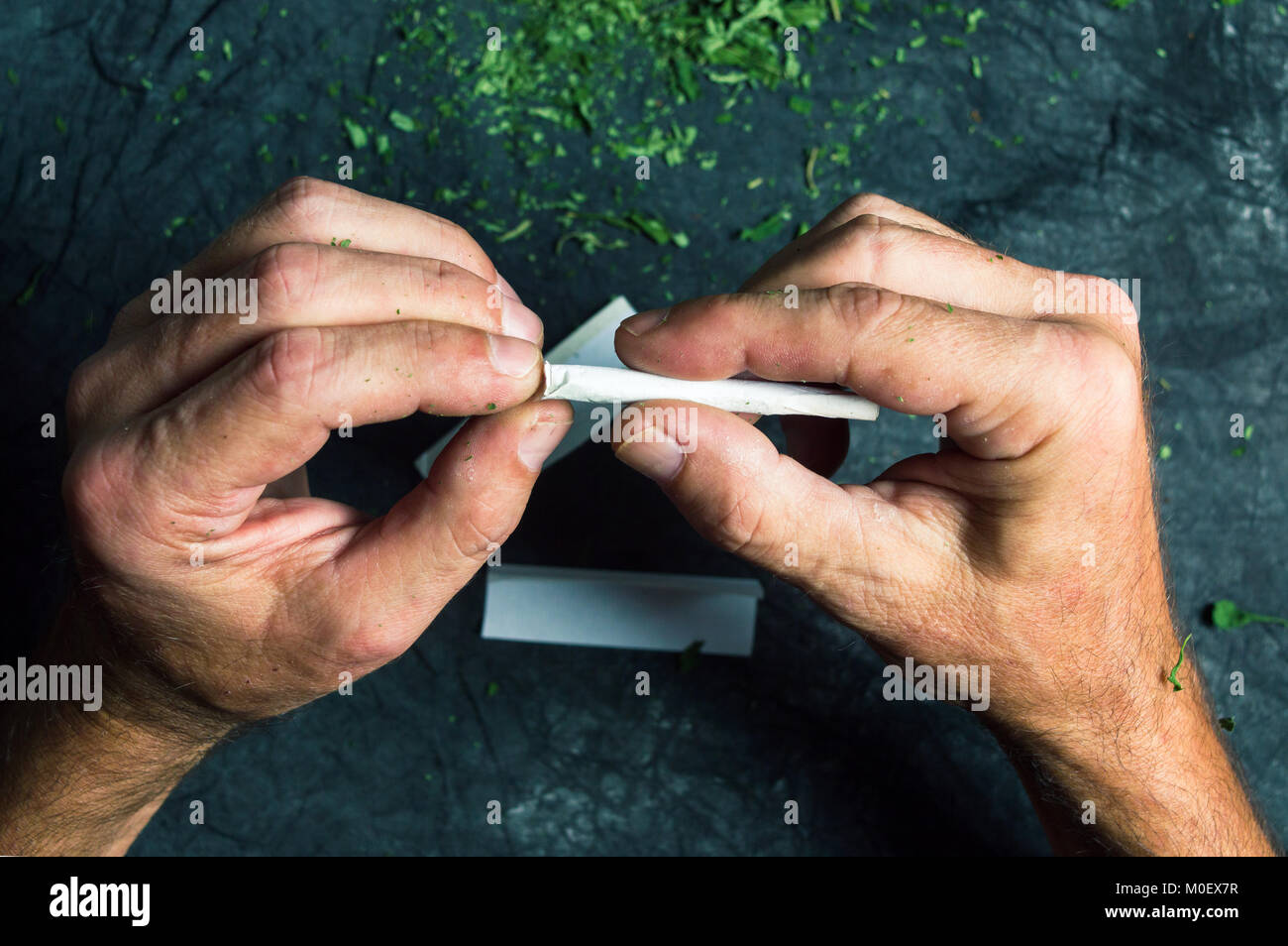 Le mani di marijuana di incarto comune di prospettiva in prima persona Foto Stock