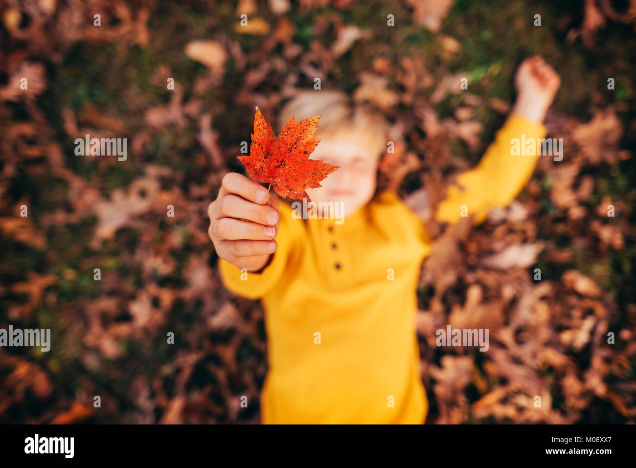 Ragazzo che giace in foglie di autunno tenendo in mano una foglia Foto Stock