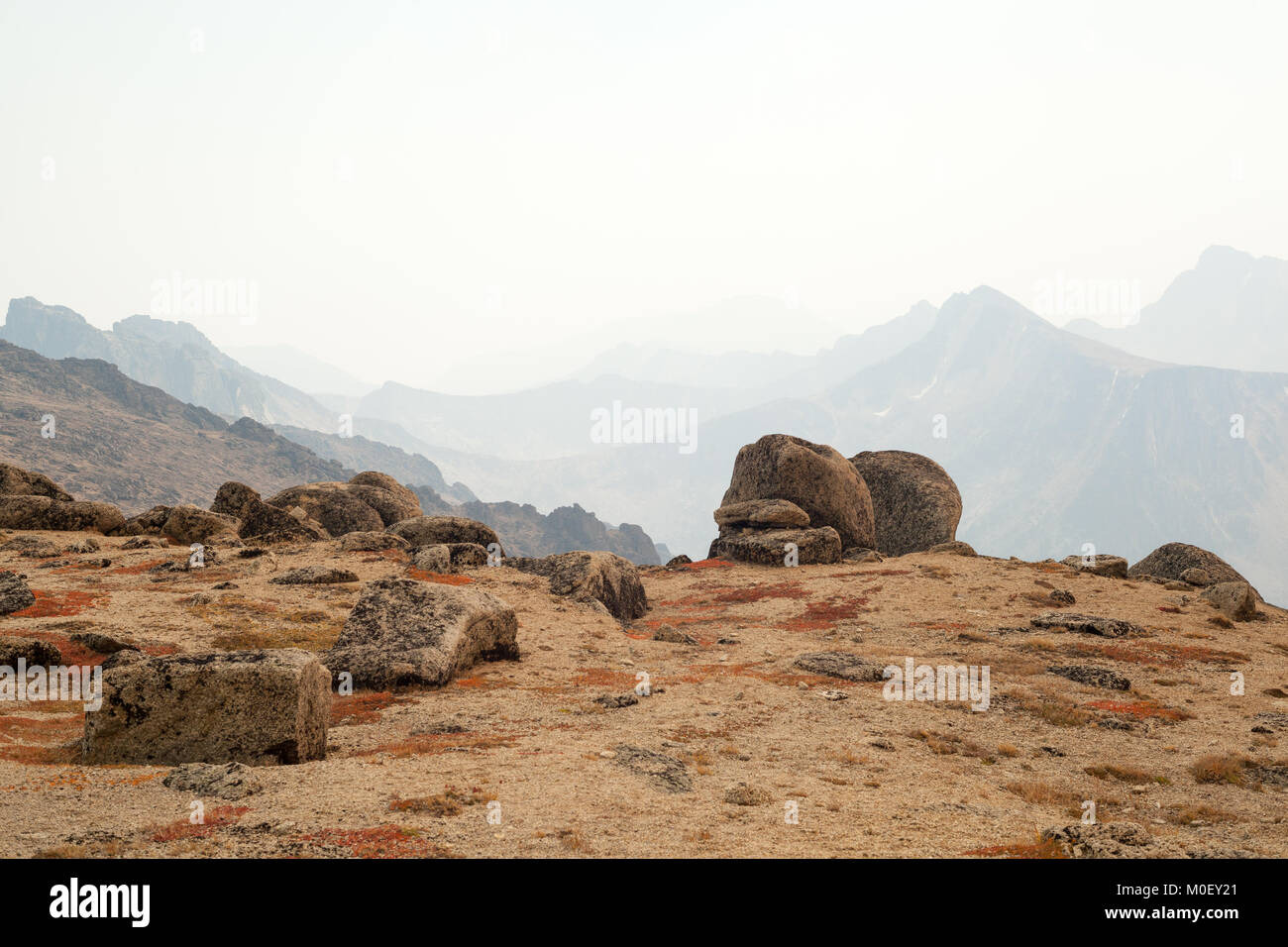 Paesaggio rurale, Cattedrale Parco Provinciale, British Columbia, Canada Foto Stock