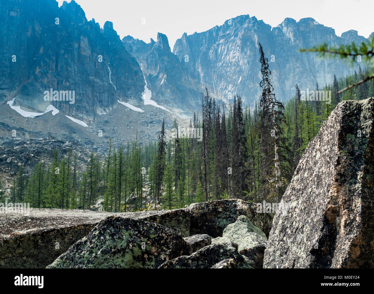 Paesaggio rurale, Cattedrale Parco Provinciale, British Columbia, Canada Foto Stock