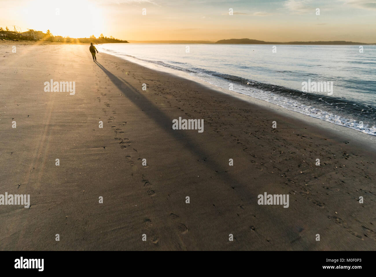Il camminatore solitario al tramonto, Alki Beach, Seattle, Washington, Stati Uniti d'America Foto Stock