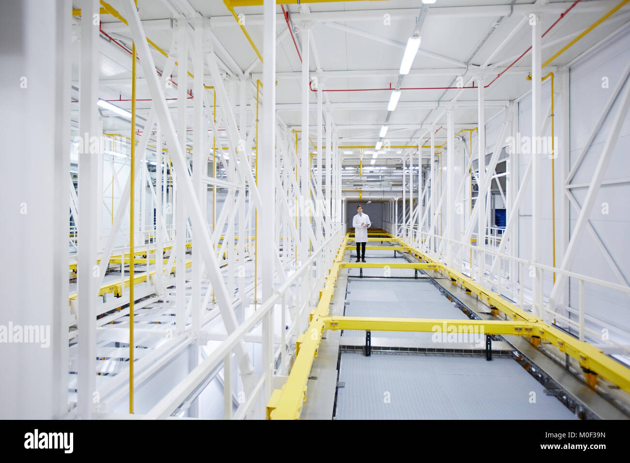 Corridoio nella fattoria di data mining Foto Stock