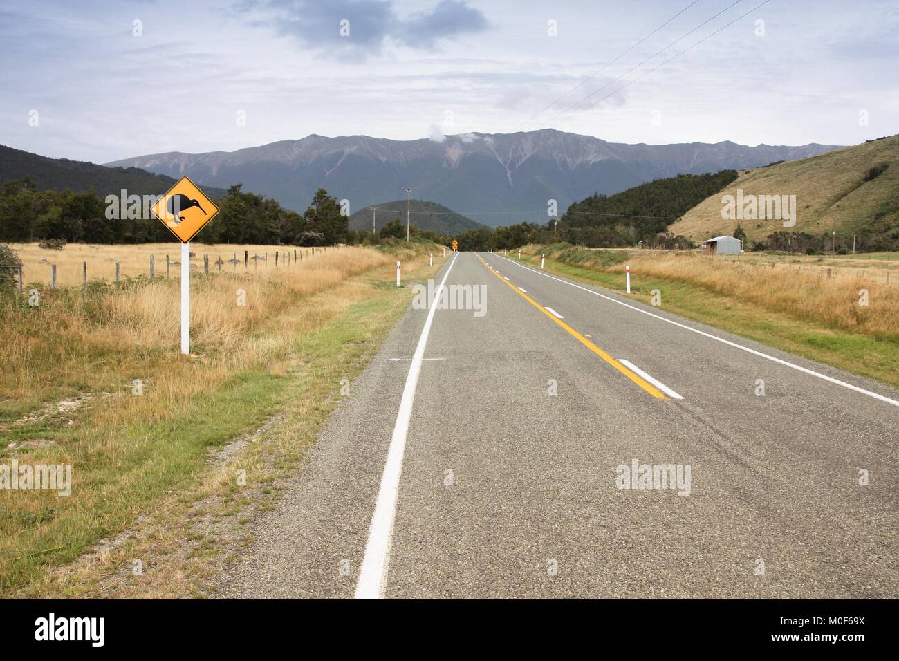 Nuova Zelanda simbolo - kiwi cartello segnaletico. Regione Tasmania road. Foto Stock
