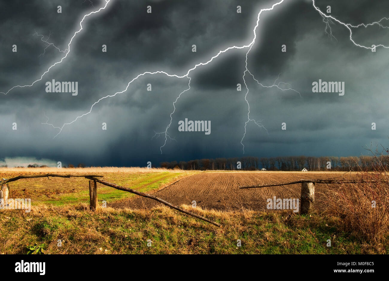 Thunder Sky. un fulmine nel cielo. nuvole scure Foto Stock