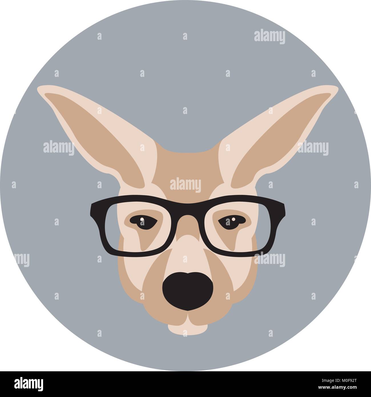 Kangaroo faccia capo in bicchieri illustrazione vettoriale stile piatto Illustrazione Vettoriale