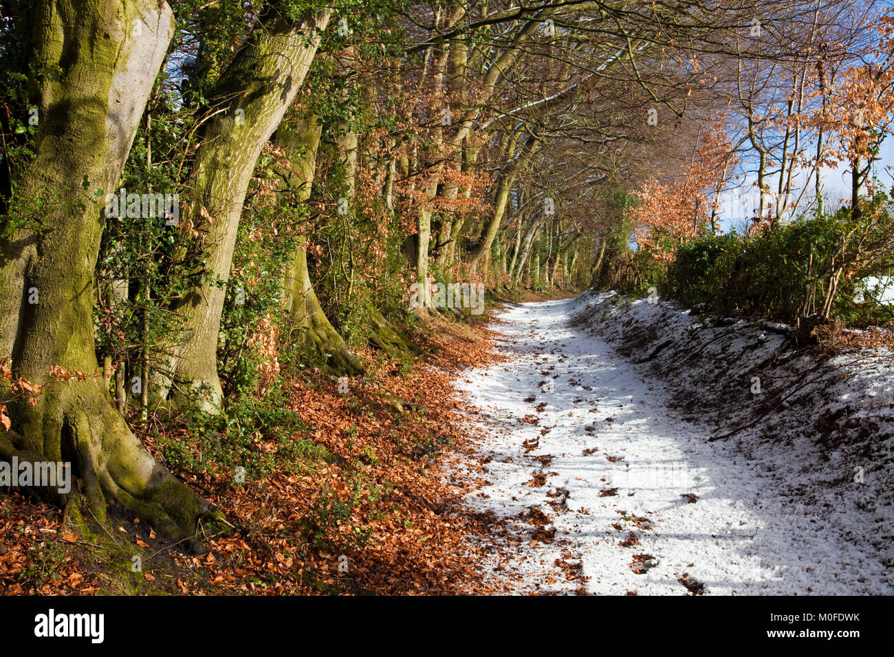 Snowy lane near Cropton North York Moors National Park North Yorkshire Foto Stock