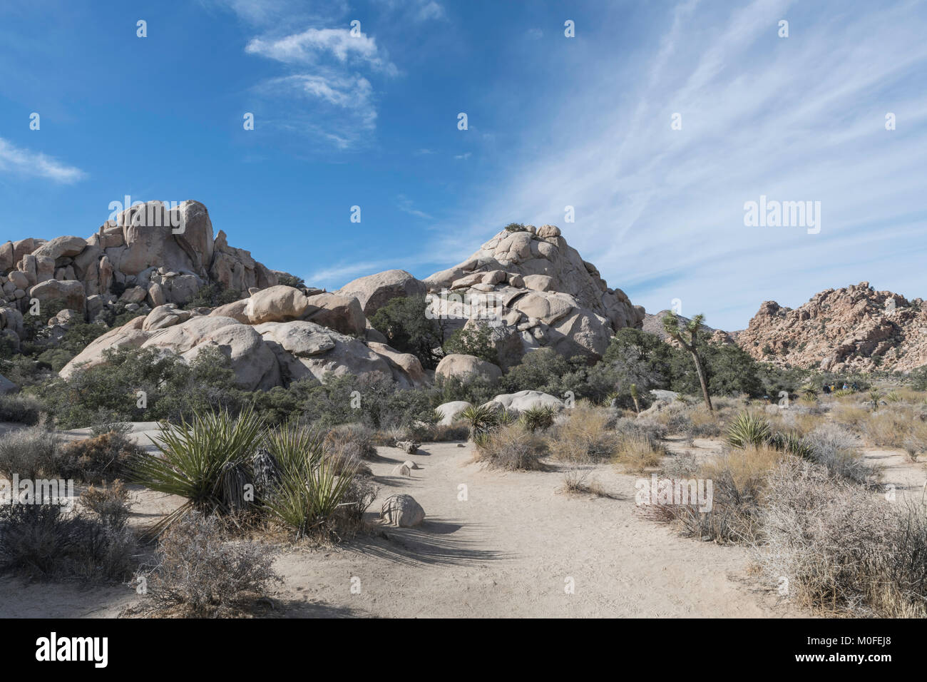 Panorama sull'Hidden Valley Trail nel Parco nazionale di Joshua Tree che mostra il deserto delle erbe e delle pile di roccia con un luminoso cielo blu Foto Stock