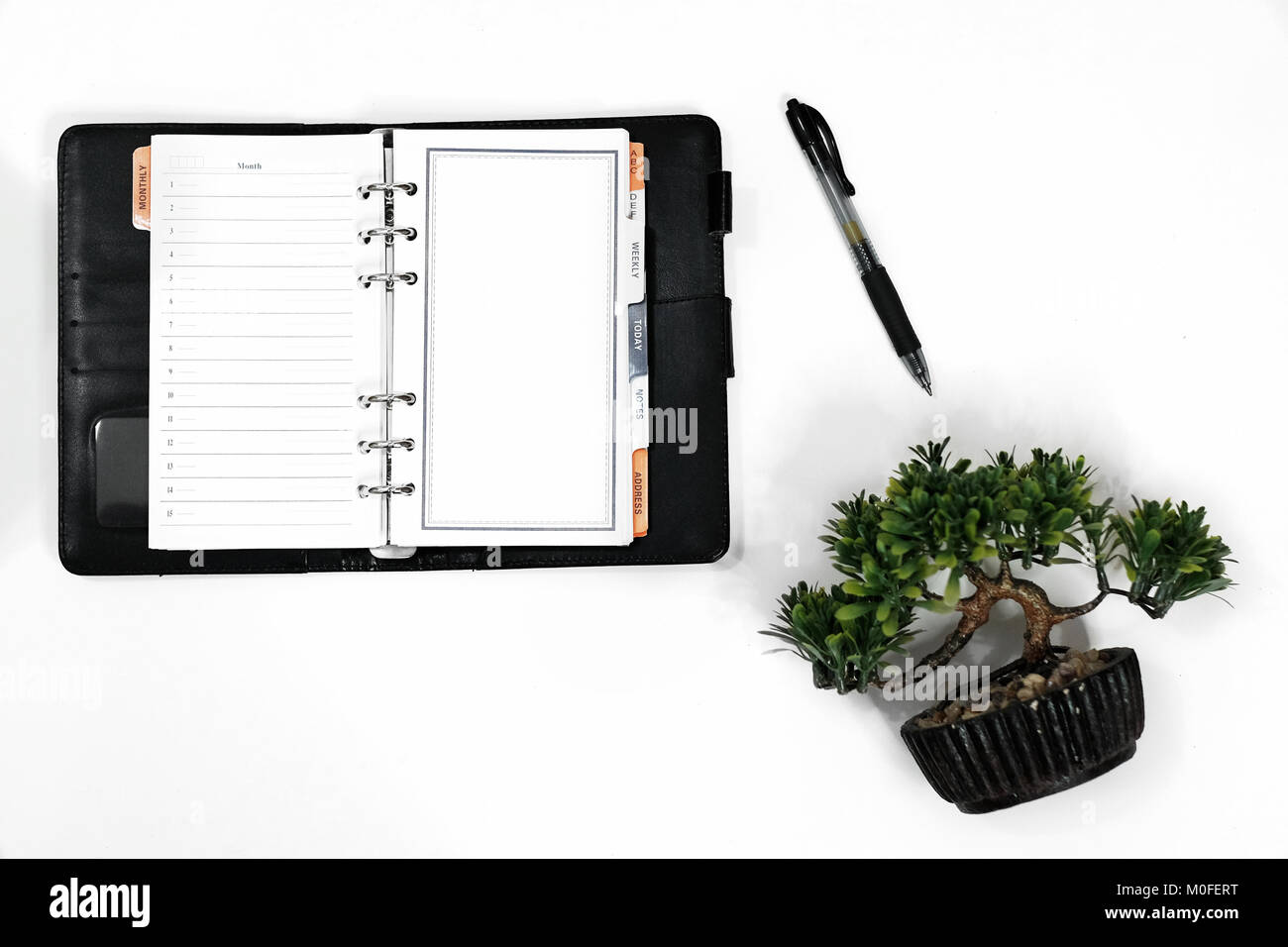 Conceptual,diario su un tavolo bianco. aprire il diario,pen e albero. Foto Stock