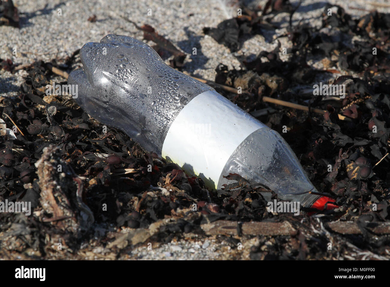 Plastica soft drink bottiglia sulla spiaggia. Foto Stock