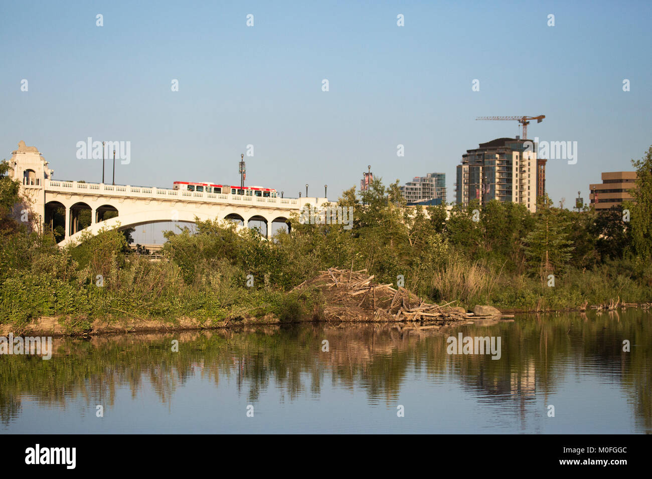 Natura urbana: beaver Lodge nel centro città stagno accanto Trans Canada Trail a Calgary, Canada Foto Stock