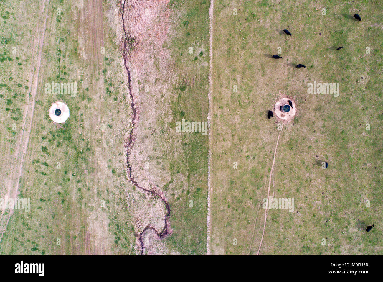 Vista aerea del bestiame terreni agricoli di roaming Foto Stock
