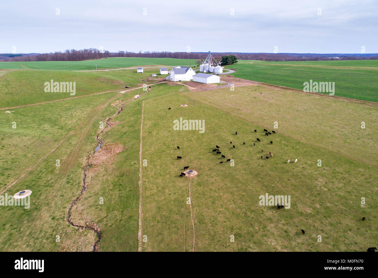Vista aerea del bestiame terreni agricoli di roaming Foto Stock