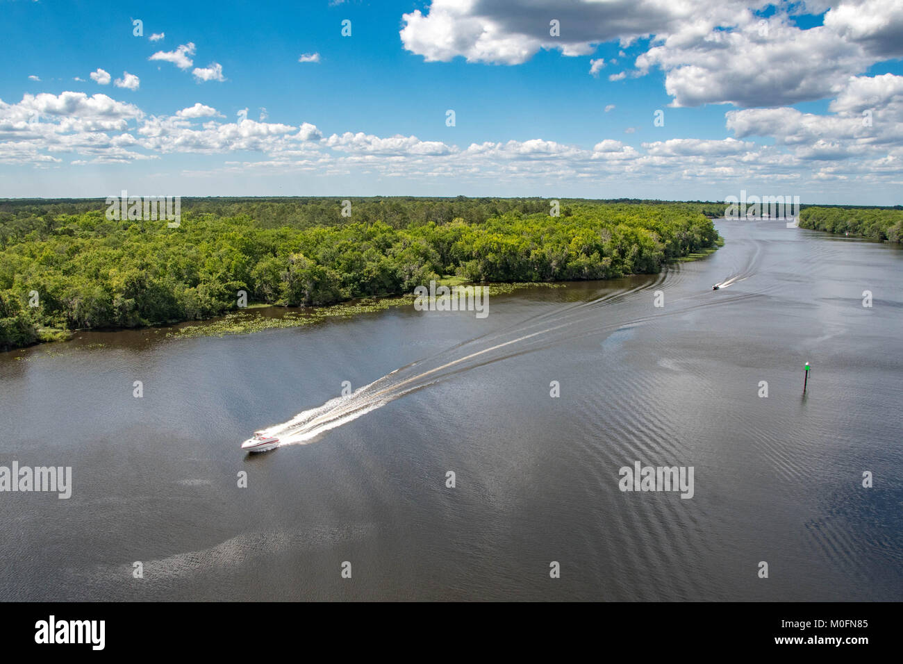 Barche rapidamente scivolare attraverso fiume nelle paludi della Florida costa Foto Stock