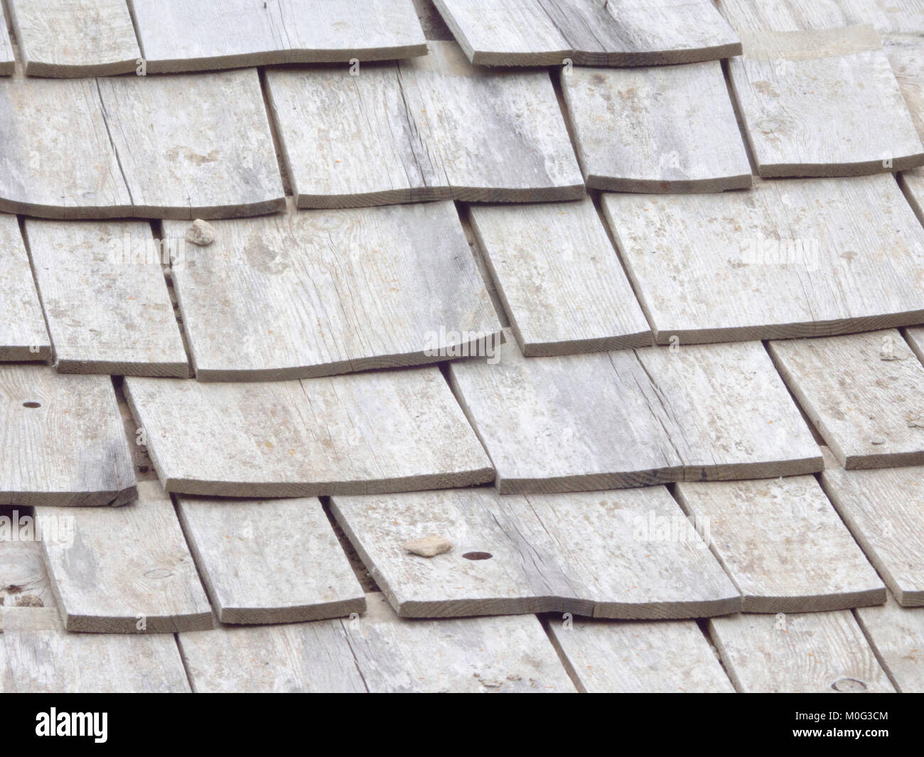 Tetto in legno Scandole ( un tipo di tetto in legno piastrella ) Foto Stock