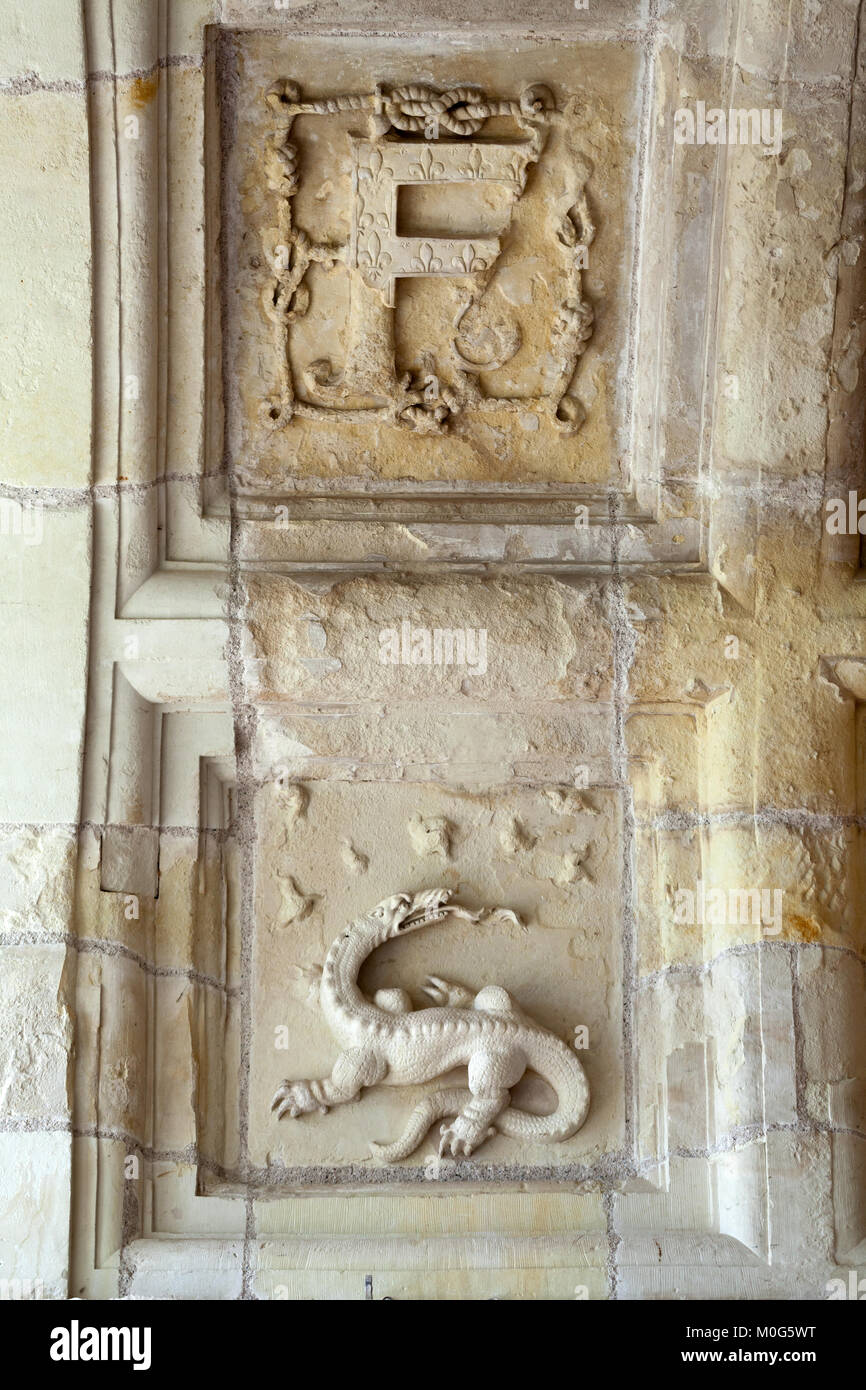 Motivi araldico nel castello di Chambord. .Valle del fiume Cher. Francia Foto Stock