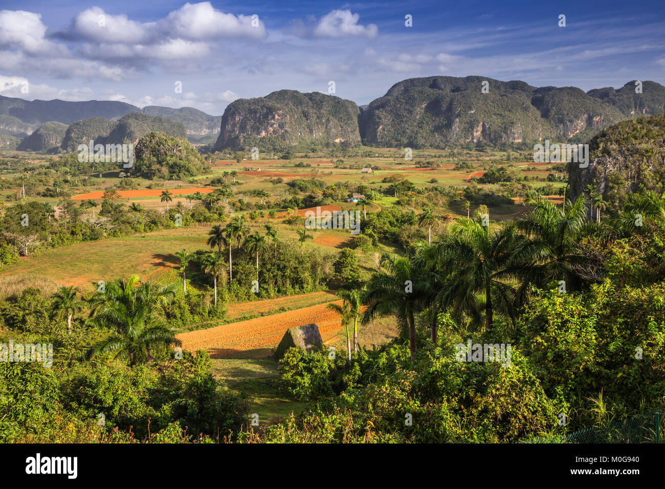 Mogote paesaggio di Vinales Valley, Cuba Foto Stock