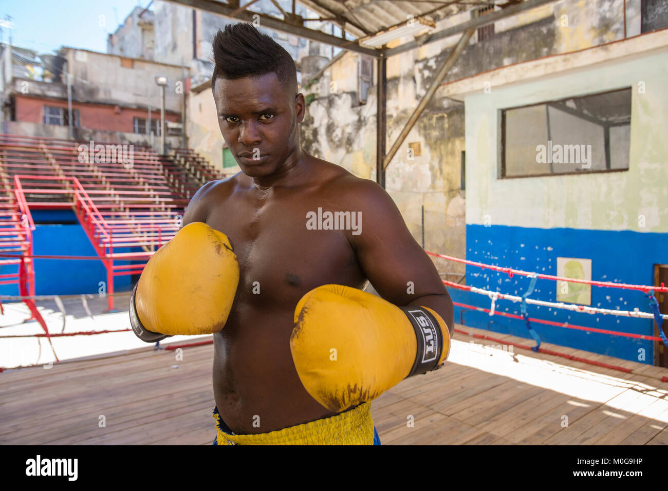 Pugili di formazione presso Rafael Trejo Boxing palestra a l'Avana, Cuba Foto Stock