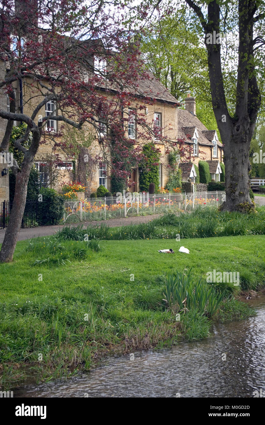Pittoresche Cotswold ville che costeggiano il fiume occhio, Lower Slaughter, Cotswolds, Gloucestershire, England, Regno Unito Foto Stock
