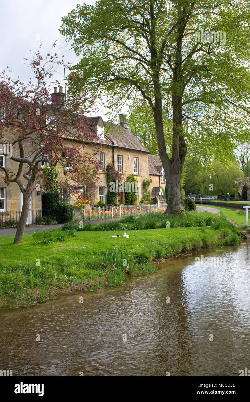 Pittoresche Cotswold ville che costeggiano il fiume occhio, Lower Slaughter, Cotswolds, Gloucestershire, England, Regno Unito Foto Stock