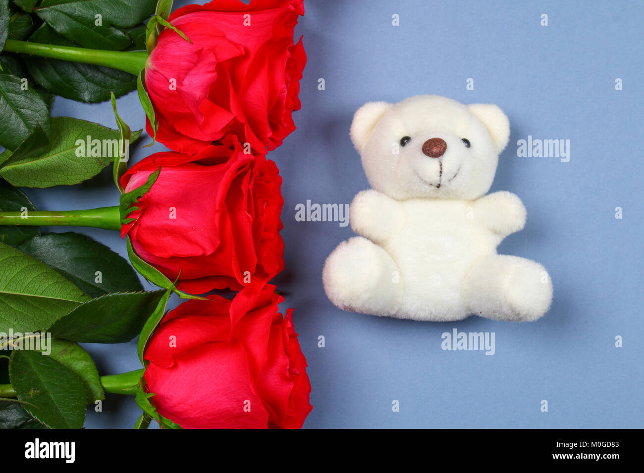 Orsacchiotto bianco circondato da rose rosa su una tabella di colore grigio. Modello per il 8 Marzo, Festa della Mamma, San Valentino Foto Stock