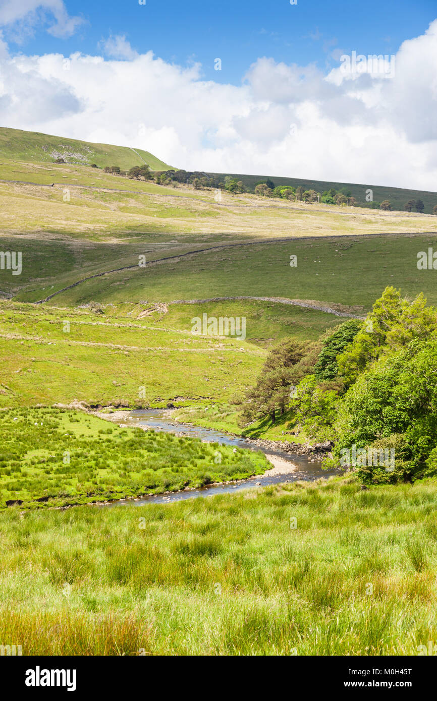 Tipico delle campagne con un flusso in estate nel cuore dello Yorkshire Dales in Inghilterra. Foto Stock