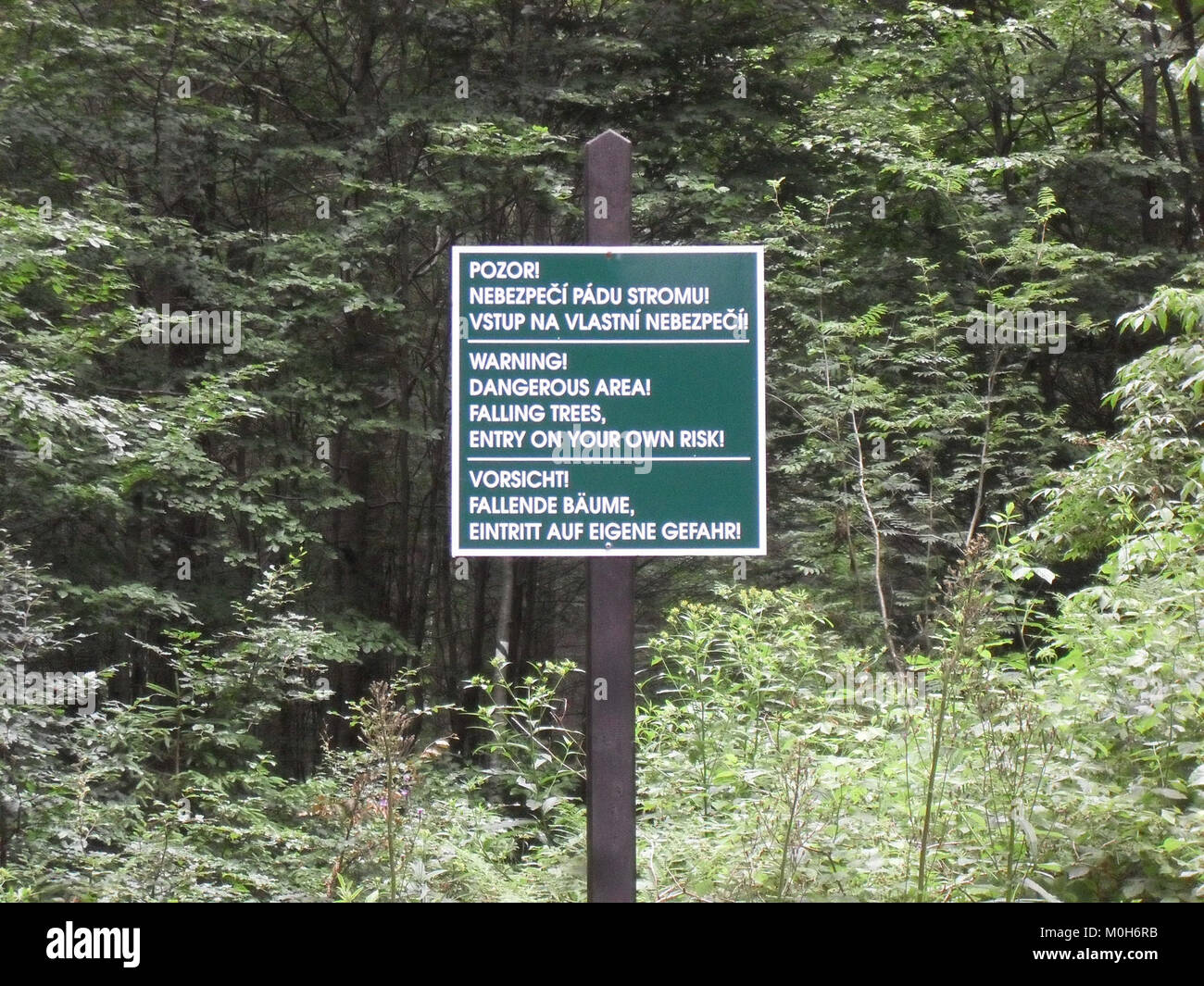 Una fotografia di segnali di avvertimento nella zona di Boubín, Repubblica Ceca, che forniscono informazioni sulla sicurezza per i visitatori nell'ambiente boschivo e protetto. Foto Stock