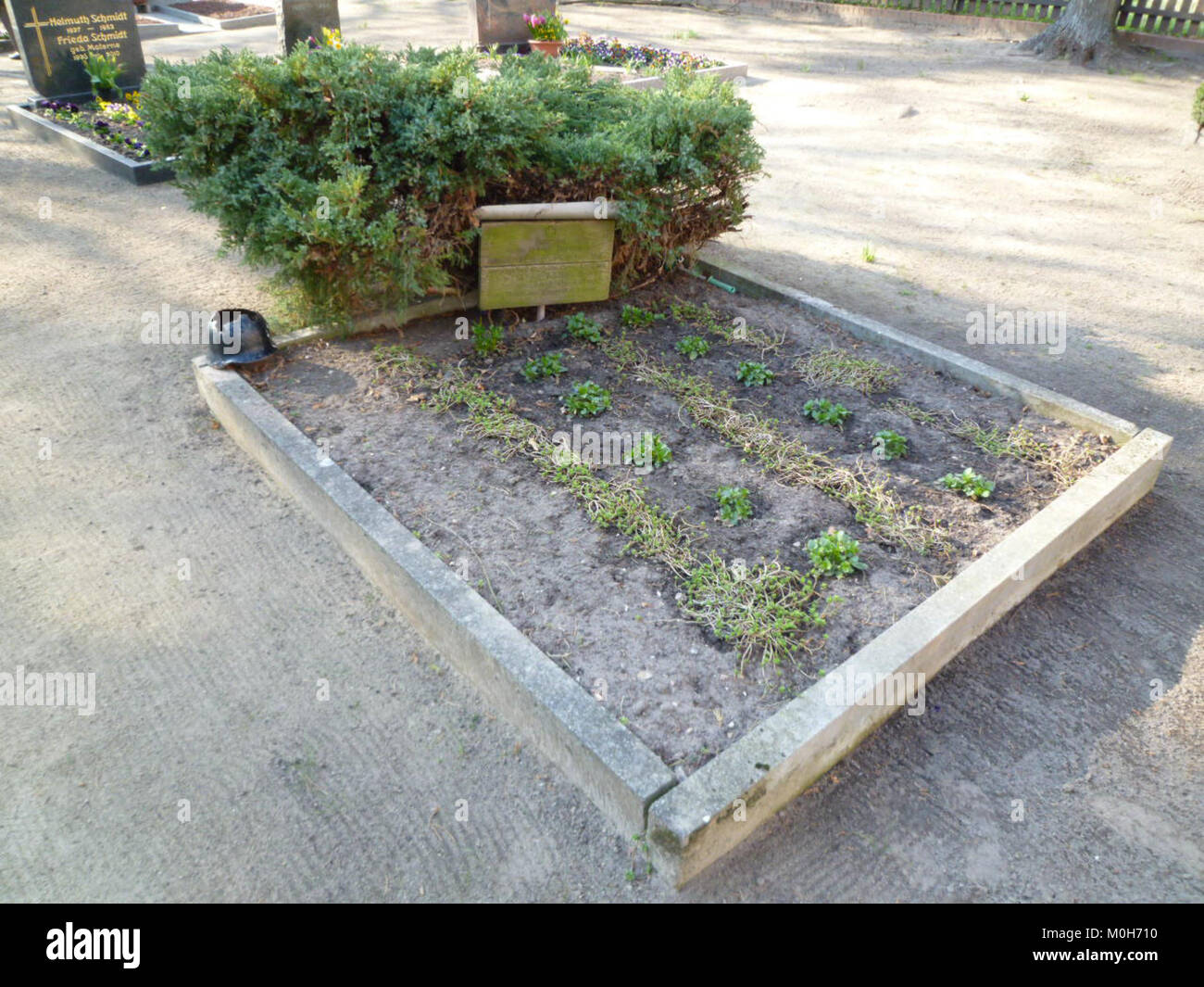 Il cimitero di Calvèrde-Dorst è un luogo commemorativo in Germania che celebra le vittime di guerra, con tombe, monumenti e testimonianze storiche di numerosi conflitti. Foto Stock