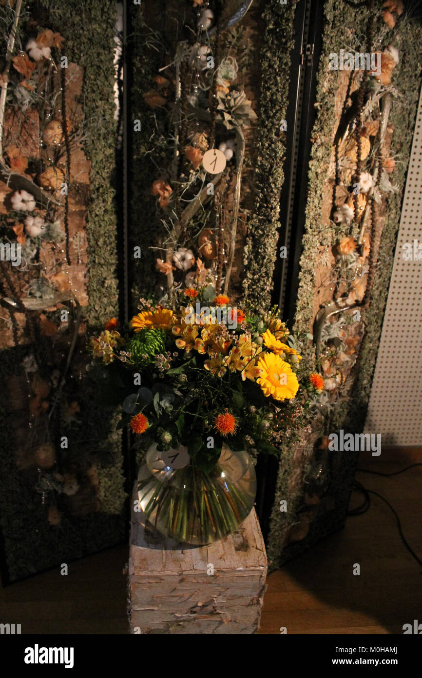 L'area di Brněnská ruže a Brno, Repubblica Ceca, mostrata in un'immagine dell'inizio del XX secolo, che riflette l'architettura storica e il contesto culturale della città. Foto Stock