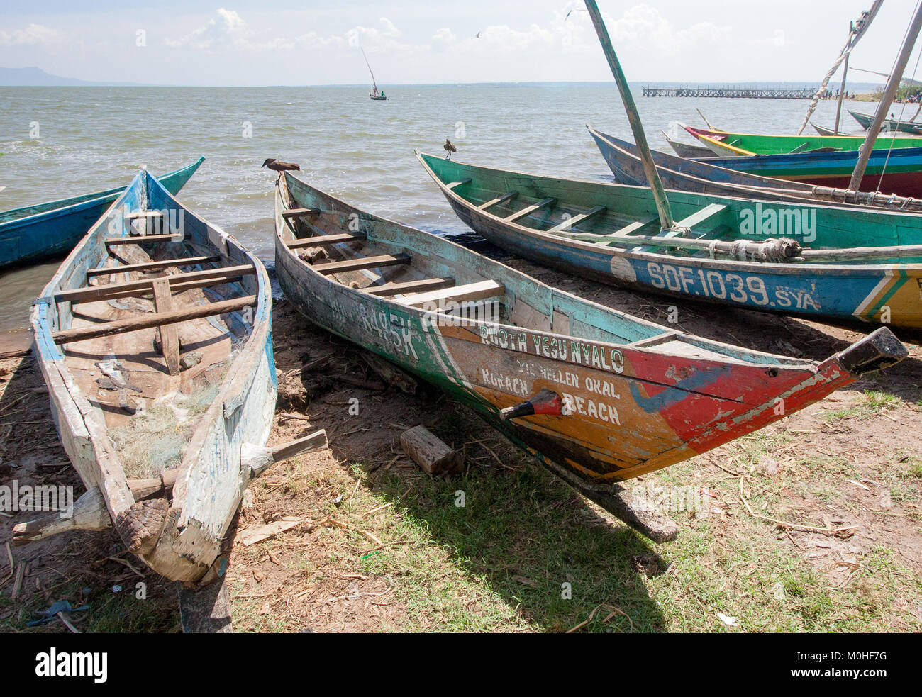 Pesca in legno canoe sulla riva del lago Victoria Foto Stock