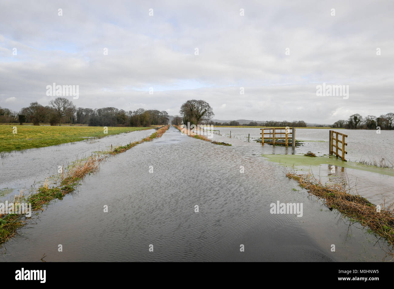 Acqua corre off campi allagati e copre la strada vicino Launcherley sui livelli di Somerset, dopo le inondazioni parti interessate del sud ovest dell'Inghilterra. Foto Stock