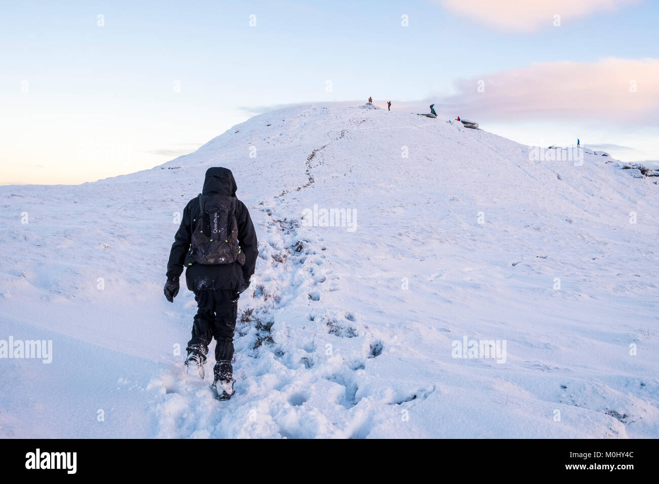 Escursioni invernali. Un escursionista a piedi nella neve fino alla cima di una collina nella campagna, Grindslow Knoll, Kinder Scout, Derbyshire, Peak District, England, Regno Unito Foto Stock