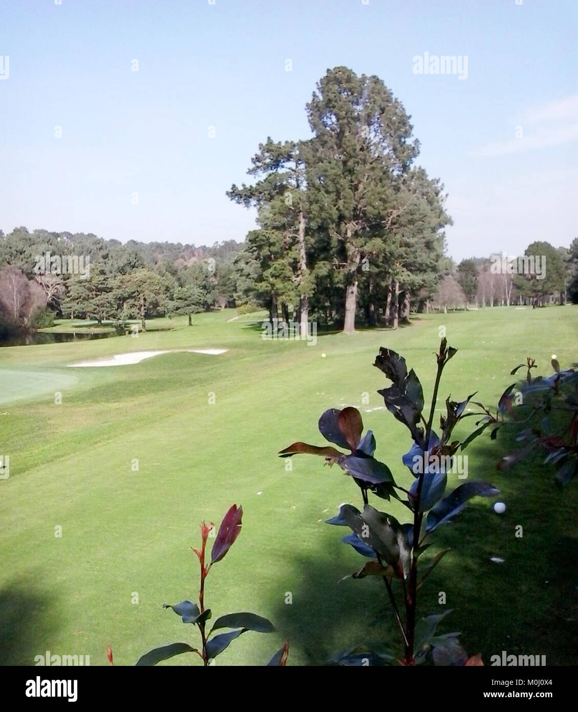 Campo de golf Zapateira da A Coruña Foto Stock
