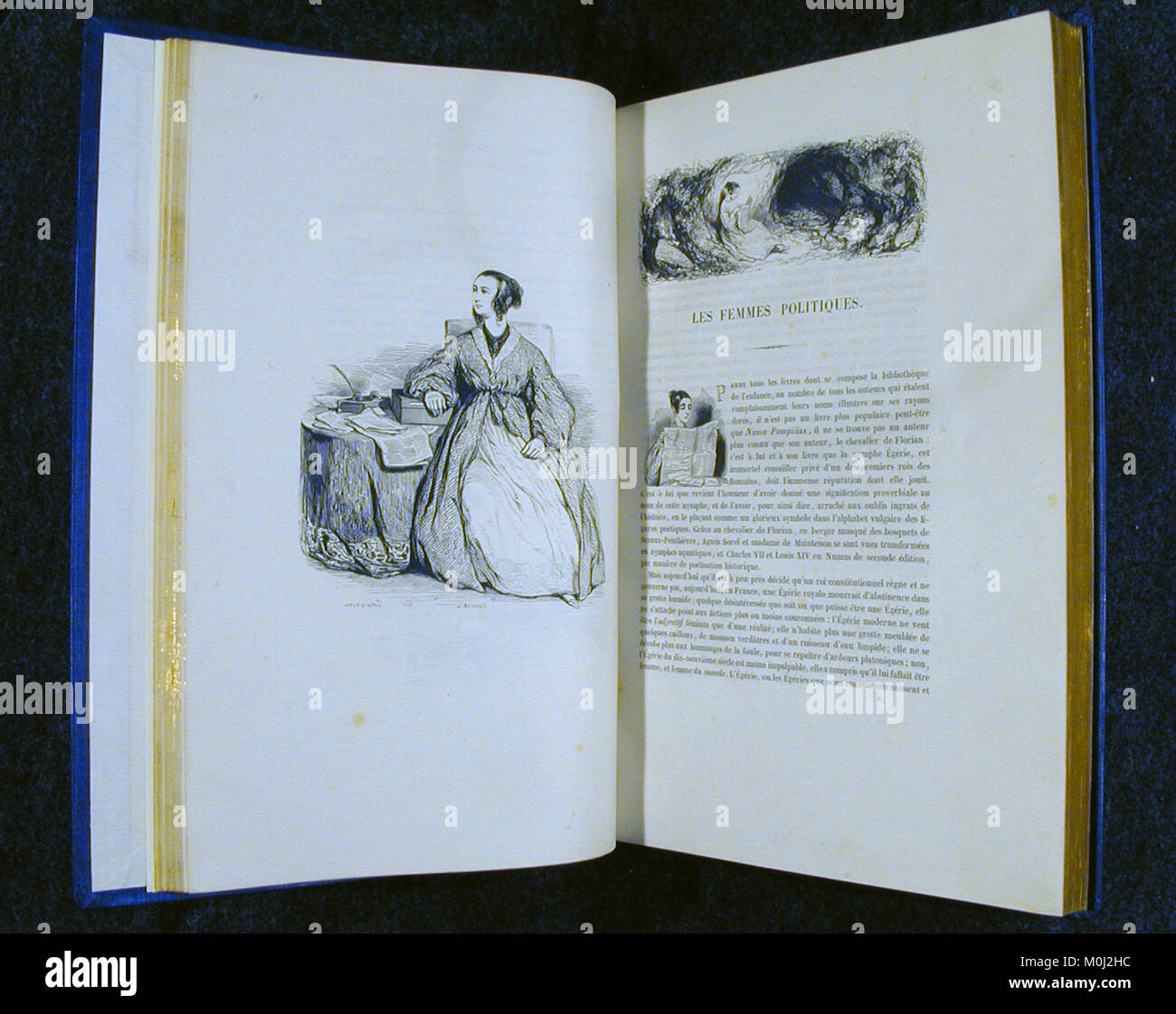 La serie di libri illustrati "Les Franais Peints par eux-Mêmes" presenta ritratti e descrizioni della società francese del XIX secolo, mettendo in evidenza la vita provinciale, i costumi e l'identità culturale. Foto Stock