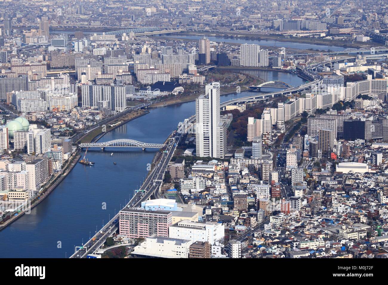 TOKYO, Giappone - 30 novembre 2016: vista aerea di Sumida e Taito pupilli a Tokyo in Giappone. Tokyo è la capitale del Giappone. 37,8 milioni di persone vivono Foto Stock