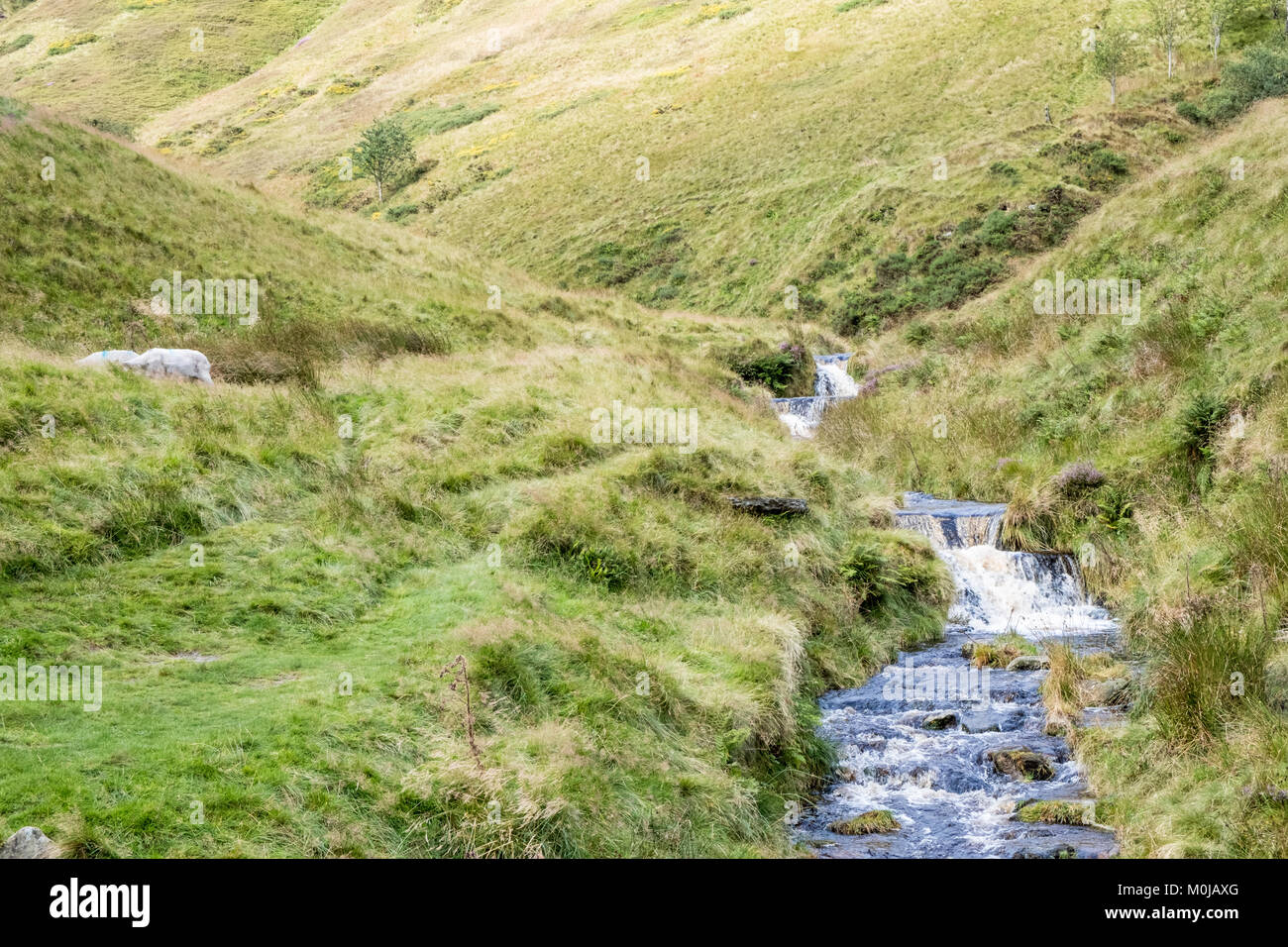 Flusso di collina. Il Noe di fiume che scorre tra le colline ai piedi dell'Cloughs, Kinder Scout, Derbyshire, Parco Nazionale di Peak District, England, Regno Unito Foto Stock