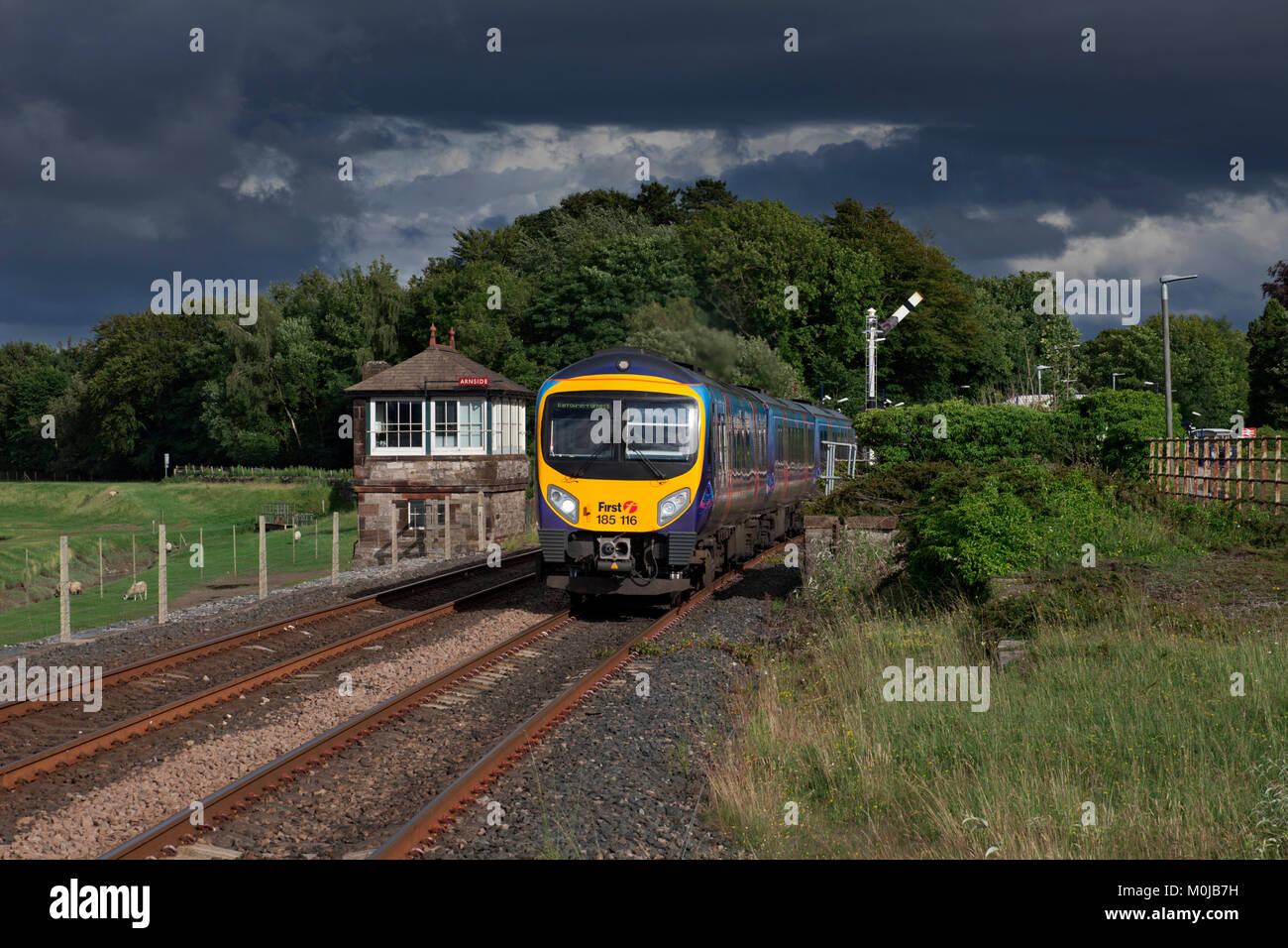 Un transpennine express classe 185 su noleggio a nord della ferrovia passa il segnale meccanico scatola a Arnside con il 1745 Preston - Barrow In Furness Foto Stock