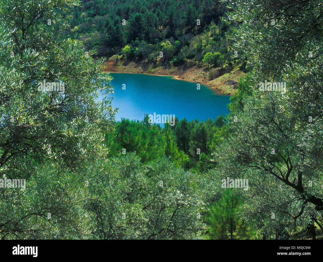 Cazorla parco naturale, Jaen, Andalusia, Spagna Foto Stock